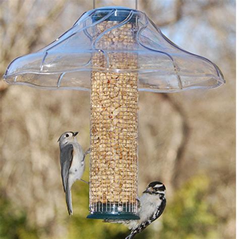 Protect your bird feeder from the elements, sun, rain and snow. Fancy Swirl Aspects Bird Feeder Dome | Bird feeders ...