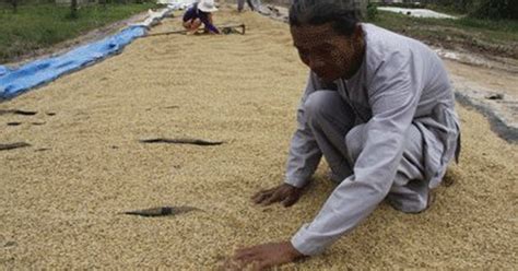 Nửa tháng trước khi ông võ văn kiệt trả lời phỏng vấn tạp chí time của mỹ thì thứ trưởng ngoại giao lê mai bảo tôi: Từ kênh Vĩnh Tế đến kênh Võ Văn Kiệt - Kỳ cuối: đánh thức ...