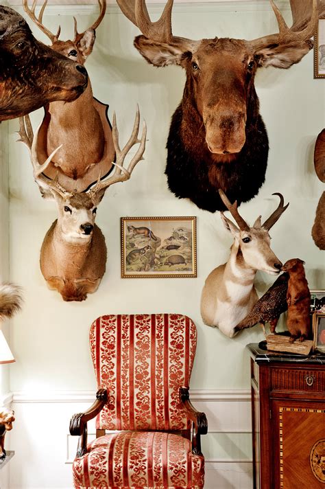 For Sale: Classic 6 at the Beresford Packed with Taxidermy - The New