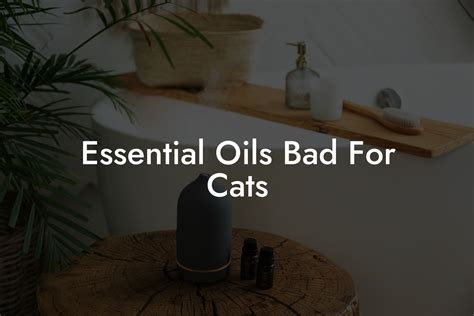 Essential Oils Bad For Cats Oshu Artisan Essential Earth Oils