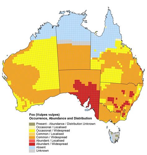Fox Populations In Australia Origins Effects And Urban Areas Explored