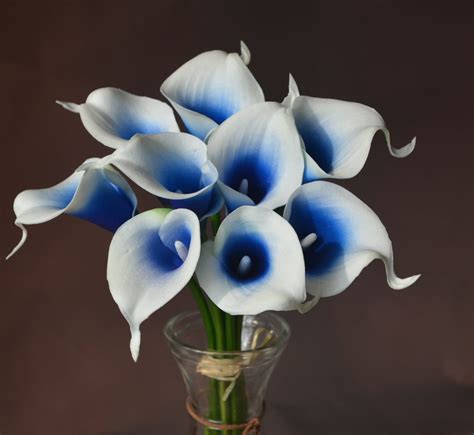 Royal Blue Picasso Calla Lilies Real Touch Flowers DIY Silk Etsy