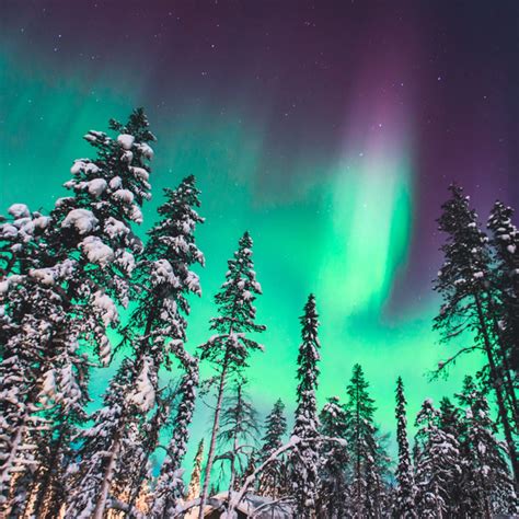 Polarlichter Die Schönsten Orte Um Die Nordlichter Zu Sehen Brigittede