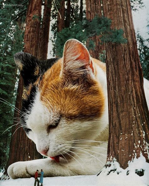 This Artist Uses Photoshop To Create Surreal Giant Cat Landscapes Here