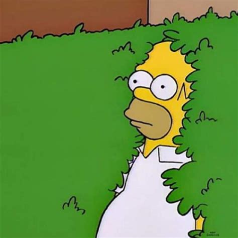 Homero Usó Su Propio Meme En Un Capítulo De Los Simpson Fox Twitter Redes Sociales