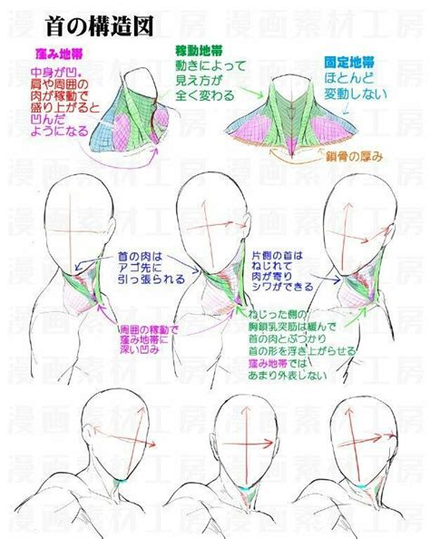 Head And Neck Position Drawing Tutorial Art Reference Poses Drawing