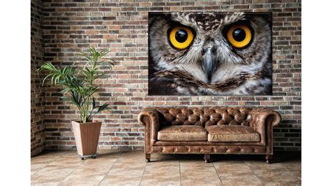 Owl Wall Art Owl Modern Wall Decor Stretched Ready To Hang Etsy