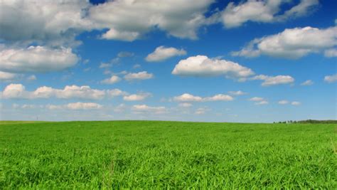 Beautiful Green Grass Clear Blue Sky Summer Landscape High