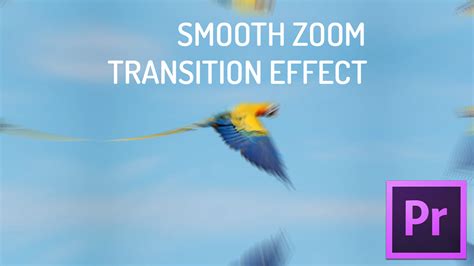 How To Create A Text Zoom Transition Effect In Adobe Premiere Pro Images