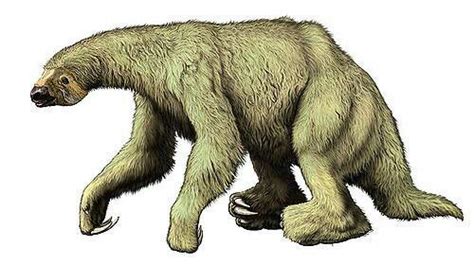 5 ground sloth ice age prehistoric amino amino