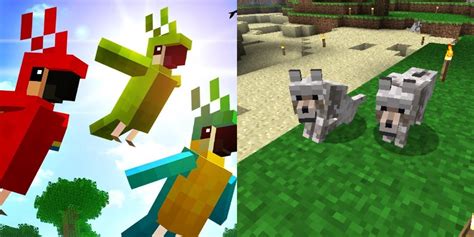 Minecraft How To Tame Every Animal You Can