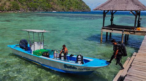 Promo 75 Off Sangat Island Dive Resort Philippines Hotel Cheap Nearby