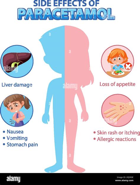 Human Anatomy Diagram Cartoon Style Of Paracetamol Side Effects