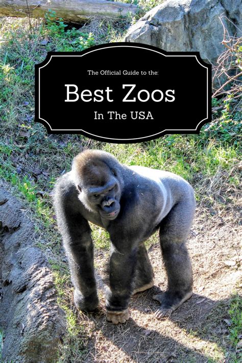 Do You Know The Best Zoos In The Usa From The San Diego Zoo To The