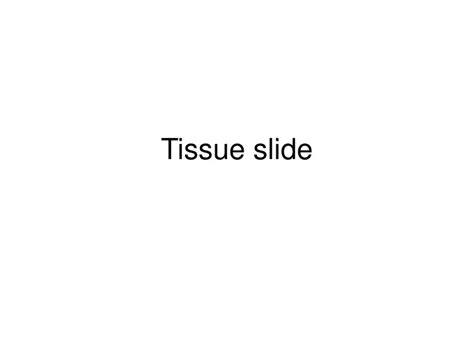 Ppt Tissue Slide Powerpoint Presentation Free Download Id9565094
