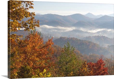 Tennessee Morning Light Fog In Valleys Smoky Mountain National Park