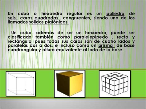 Cubo Exposicion