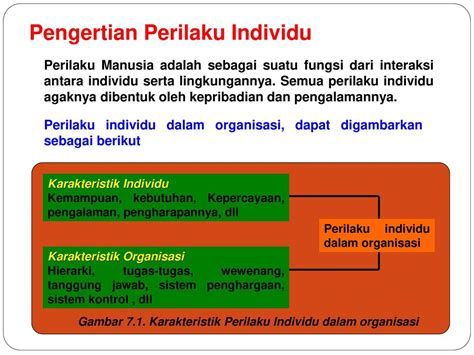 Contoh Perilaku Individu Dalam Organisasi 50 Koleksi Gambar