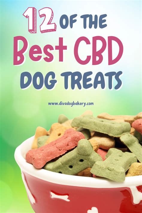 12 Of The Best Cbd Dog Treats