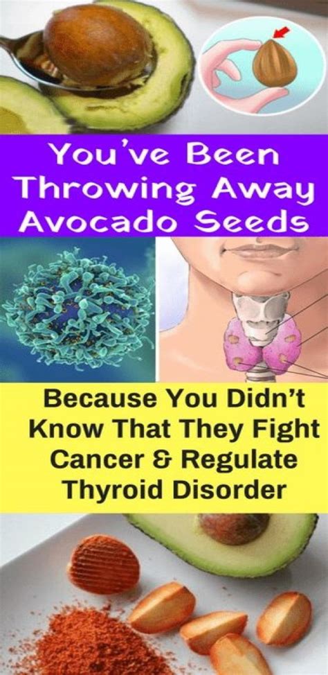 You Will Stop Of Throwing Avocado Seeds Again After You Read This