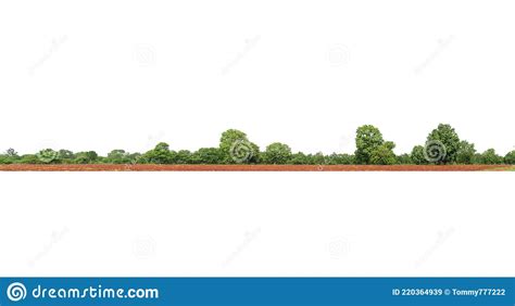 Panorama View Of A High Definition Treeline Isolated On A White
