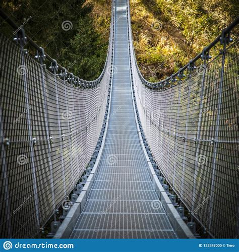 Suspended Bridge On Alps Stock Photo Image Of Tree 133347000