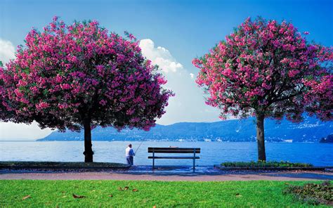 Autumn, winter, spring and summer. Fishing on the lake - Beautiful spring season