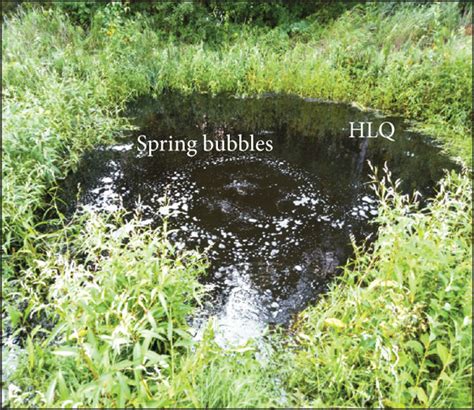 Photos Showing The Fanhua Spring A Hualin Spring In August 2017 B
