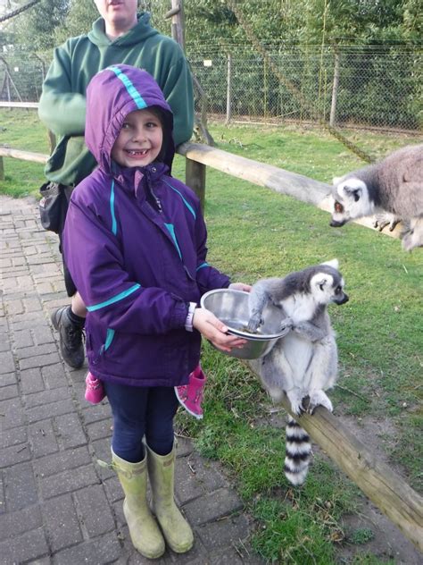 When Molly Met Molly Animal Experiences At Wingham Wildlife Park In Kent