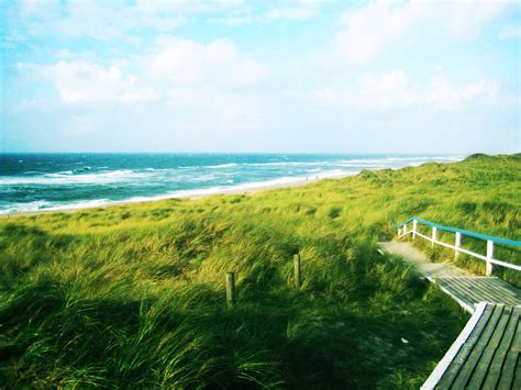 Grass Beach Ocean Path Trail Hd Wallpaper Nature And Landscape