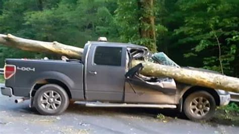 Photos Of Bizarre Pickup Crash With Fallen Tree Go Viral The Kansas