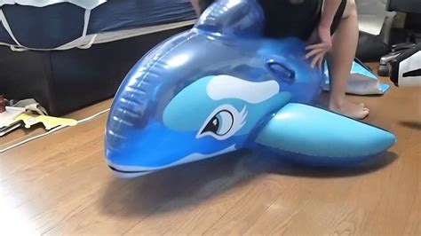 Inflatable Dolphin Riding Youtube