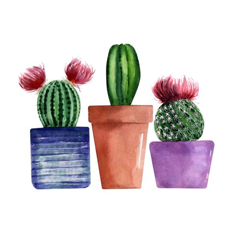 Premium Photo Watercolor Illustration With Different Types Of Cacti