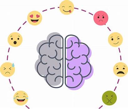 Emotions Emotional Intelligence Clipart Feelings Emotion Brain