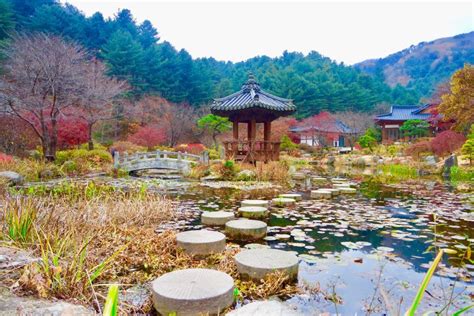 The Garden Of The Morning Calm Perfect Daytrip From Seoul Bird Bath