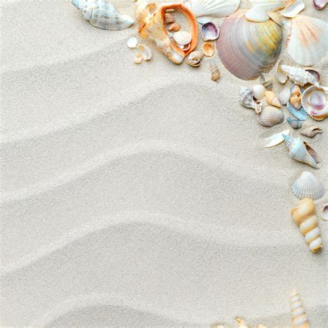 Sand Background With Shells And Starfish Stock Photo By ©smaglov 7676968