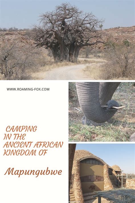 Camping In The Ancient African Kingdom Of Mapungubwe