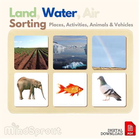 Land Water Air Sorting Activity