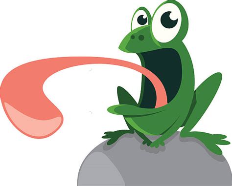 Best Frog Tongue Illustrations Royalty Free Vector Graphics And Clip Art