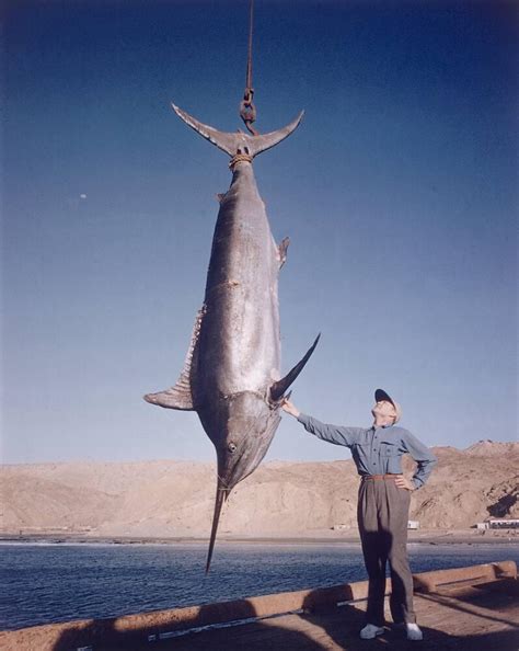 Alfred Glassell And The Largest Marlin Ever Caught On A Handheld Rod