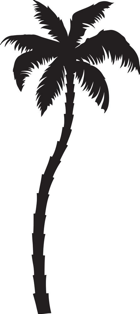 Vector Palm Tree Royalty Free Stock Image Storyblocks