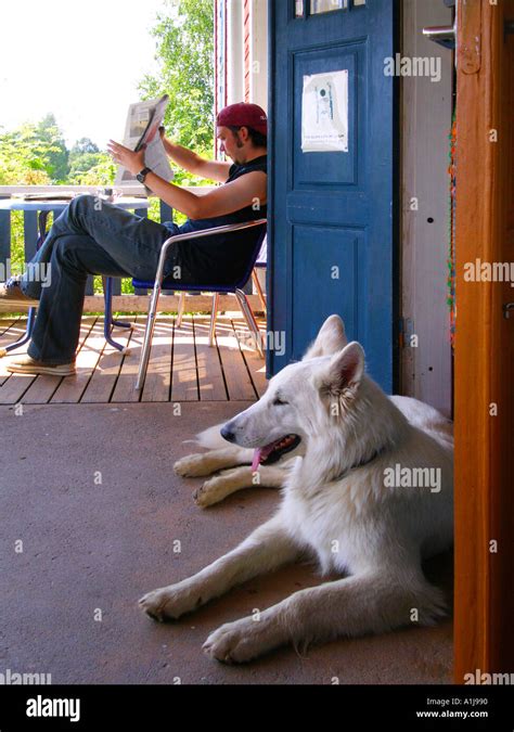 White Alsatian Dog Sitting On Open Verandah Of Old School House Used As