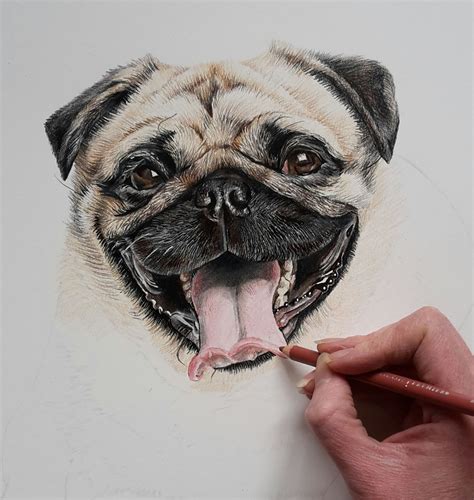 A Lovely Work In Progress Photo Of Ralph Realistic Pencil Drawings