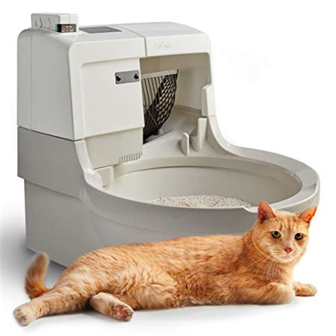 Top 10 Best Automatic Cat Litter Box Self Cleaning
