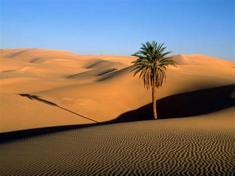 The sahara, located in northern africa, is the world's largest hot desert and second largest desert after antarctica at over 3.5 million square miles (9 million square kilometers). Sahara Desert Hottest Desert in the World | Travel and Tourism