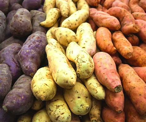 What Does Sweet Potato Taste Like 8 Varieties From Taste To Texture