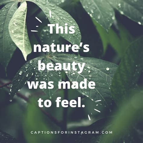 100 Beautiful Best Nature Captions For Instagram Pinterest