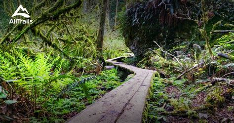 Best Trails In Cougar Mountain Regional Wildland Park Washington
