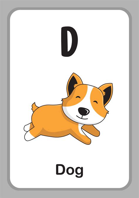 Animal Alphabet Education Flashcards D For Dog 4705595 Vector Art At