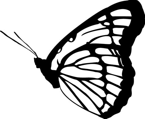 Butterfly Vector Clipart Best Clipart Best